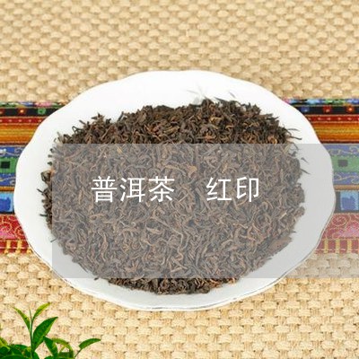 普洱茶 红印/2023042990101